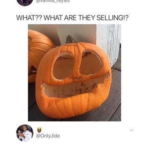 Meet your Posher, Lilly